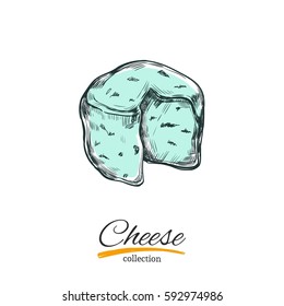 Cheese vector illustration on white background