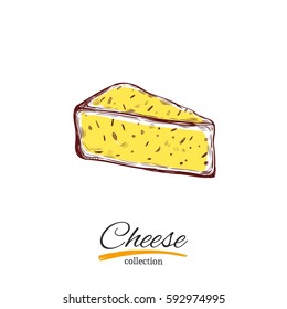 Cheese vector illustration on white background