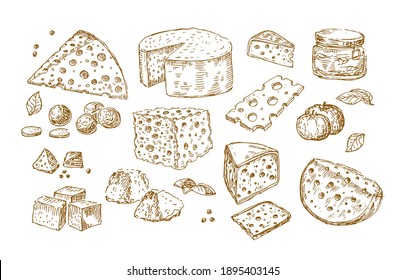 Käse-Vektorset. Stilkäsesammlung. Lebensmittelillustration