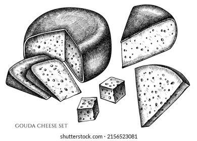 Cheese vintage vector illustrations collection. Black and white gouda cheese.