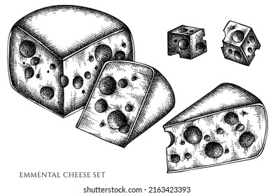 Cheese vintage vector illustrations collection. Black and white emmental.