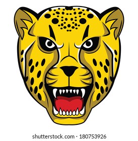 cheetah