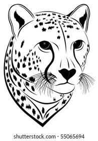 Cheetah