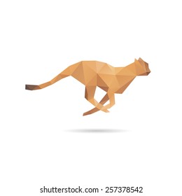 Cheetah abstract isolated on a white backgrounds, vector illustration 