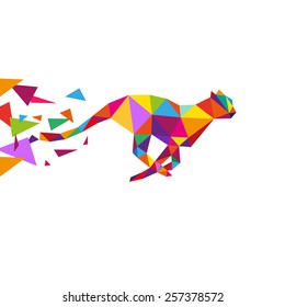 Cheetah abstract isolated on a white backgrounds, vector illustration 