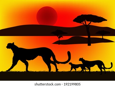 Cheetah in Africa at sunset.vector