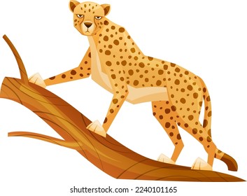 Cheetah as African Large Cat with Long Tail and Black Spots on Coat Standing on Tree Branch Vector Illustration