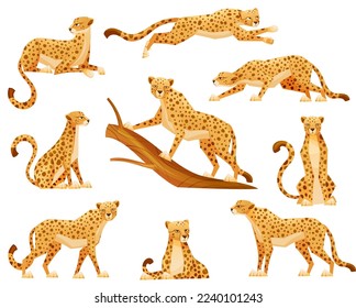 Cheetah as African Large Cat with Long Tail and Black Spots on Coat Vector Set