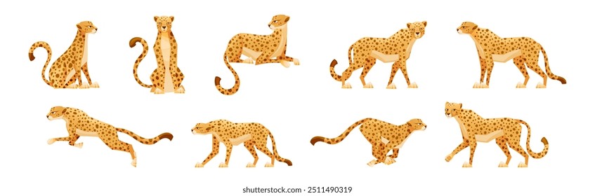 Cheetah as African Large Cat with Long Tail and Black Spots on Coat Vector Set