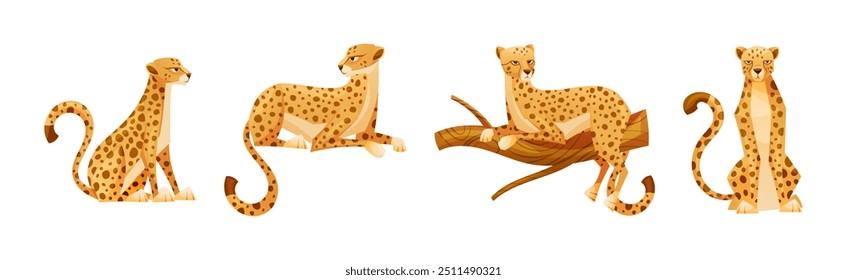 Cheetah as African Large Cat with Long Tail and Black Spots on Coat Vector Set