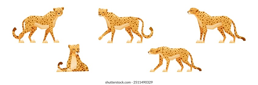 Cheetah as African Large Cat with Long Tail and Black Spots on Coat Vector Set