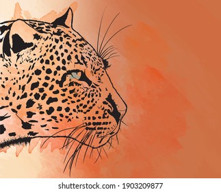 Cheetah African Wild Animal Head Or Leopard Muzzle Sketch. Vector Isolated Icon. Watercolor