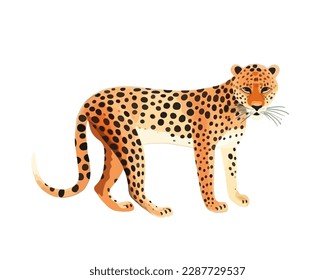 Gepard. Große Katze, wilder Spottenleopard 