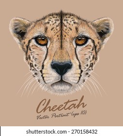 Cheetah animal cute face. Vector African wild fast cat head portrait. Realistic fur portrait of cheetah isolated on beige background.