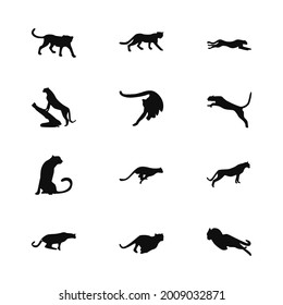 Cheetah animal icon design various poses