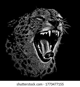 Cheetah animal illustration, nature conservation vector