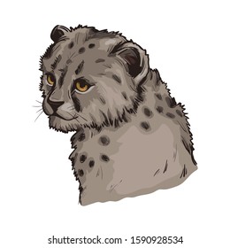 Cheetah baby tabby cat from North Africa isolated hand drawn illustration. Southeast African little cheetah hand drawn portrait. Northeast asiatic cheetah. Hunting season, wildlife feline portrait