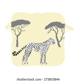 Cheetah between savannah trees. Vector Illustration