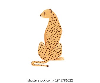 Cheetah big wild cat african savannah predator animal cartoon design character vector illustration on white background