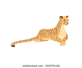 Cheetah große wilde Katzenkätzchen afrikanische Savanne Raubtier-Cartoon Design-Charakter Vektorgrafik auf weißem Hintergrund