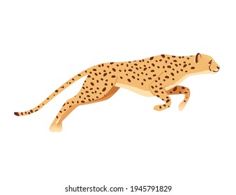 1,774 Cheetah single Images, Stock Photos & Vectors | Shutterstock