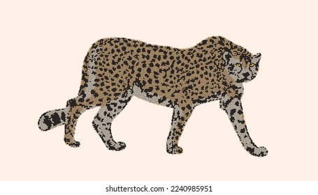 Cheetah big wild cat african design character vector illustration on color background. Vector of flat hand drawn cheetah isolated.