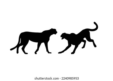 Cheetah big wild cat african design character vector illustration on white background. Vector of flat hand drawn cheetah isolated.