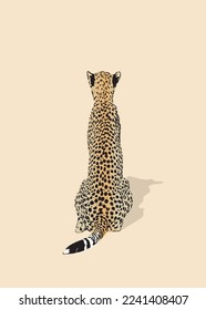 Cheetah große wilde Katzenafrikaner Design Charakter Vektorgrafik auf Farbhintergrund. Vektorgrafik von flach gezogenen Geparden einzeln.