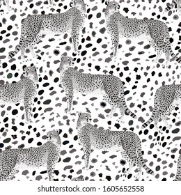 Cheetah, black and white seamless background. Illustration, print, vector.