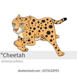 Cheetah cartoon chases prey illustration. wildlife animal isolated. predatory animal cartoon collection. Cheetah Cartoon character