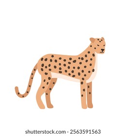 Cheetah cartoon clipart. Cheetah vector illustration in flat style. Hand-drawn wild animal concept