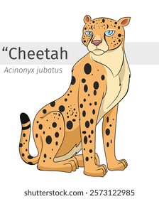 Cheetah cartoon sit down illustration. wildlife animal isolated. predatory animal cartoon collection. Cheetah Cartoon character