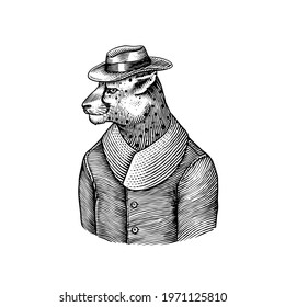 Cheetah character. Guepard in coat. Fashionable animal, vitorian gentleman in a jacket. Hand drawn Engraved old monochrome sketch. Vector illustration for t-shirt, tattoo or badge or print.
