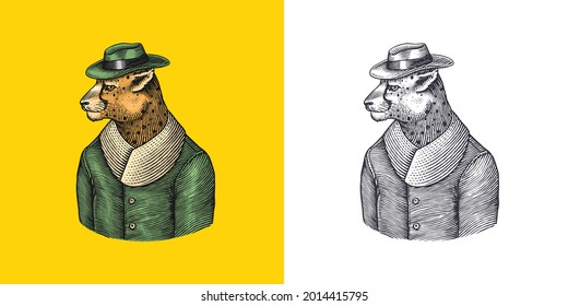 Cheetah character. Guepard in coat. Fashionable animal, vitorian gentleman in a jacket. Hand drawn Engraved old monochrome sketch. Vector illustration for t-shirt, tattoo or badge or print.