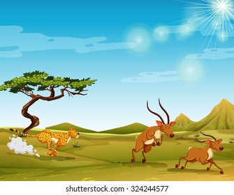 42 Chasing Deer Tiger Images, Stock Photos & Vectors | Shutterstock