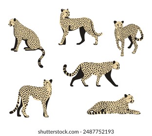 Cheetah. Collection of 6 wild cats. Vector illustration.