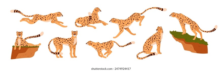 Cheetah collection. A set of vector illustrations depicting cheetahs in action, from jogging to relaxing, ideal for projects featuring African wildlife.