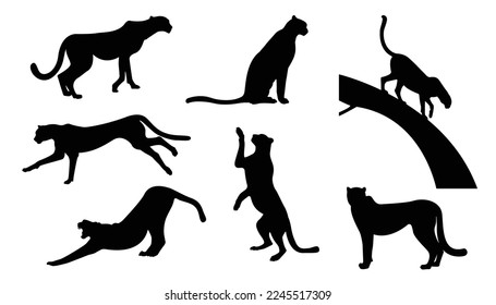 Cheetah collection. Vector illustration of cheetah in pose actions: lies, sitting, standing, walking and running. Isolated on white vector