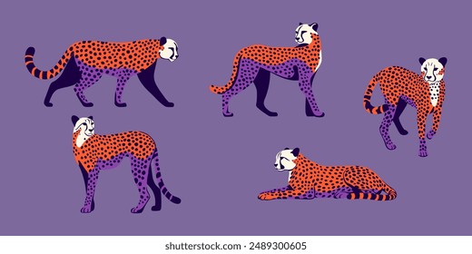 Cheetah. Collection wild cats. Vector illustration.