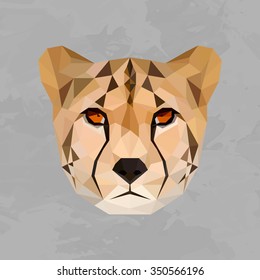 Cheetah colored logo. Cheetah head geometric lines isolated on grey background vintage vector design element illustration