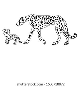 Cheetah with a cub. Sketch. Vector illustration. Drawing a line.