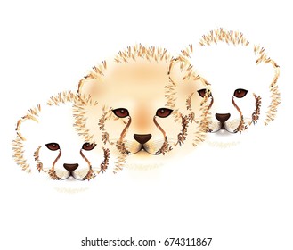 Cheetah Cubs On White Background