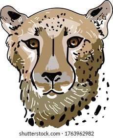 Cheetah cute illustration cute vector editorial