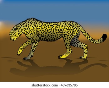 cheetah in desert drawing