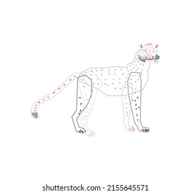 cheetah doodle colored vector illustration