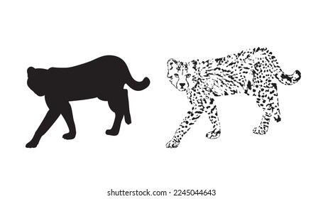 Cheetah, exotic african wild animal. Cheetah on white background logo. vector Cheetah, guepard wild cats graphic illustration.