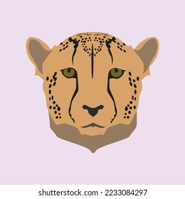 The cheetah is the fastest predator in the world