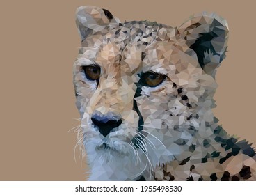 Cheetah Geometrical low poly vector art