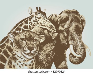 Cheetah giraffe elephant vector