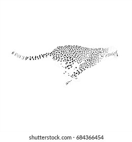 cheetah graphic tiger run fast movement animal
